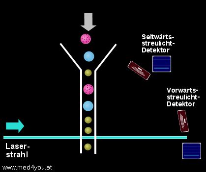 Durchflusszytometrie