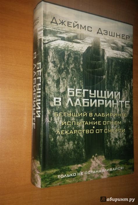 Книга: Бегущий в Лабиринте - Джеймс Дэшнер. Купить книгу, читать ...