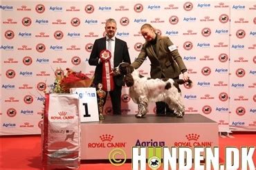 Nu Kan Hunde Og Katte Forsikres Med Kun F Klik Hunden Dk