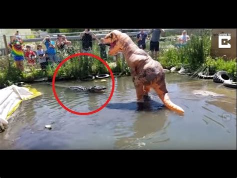 NUNCA FAÇA ISSO HOMEM VESTIDO DE T REX ALIMENTANDO CROCODILO YouTube