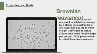 Physiology Colloids | PPTX 