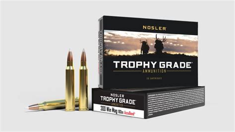 Nosler Trophy Grade Loaded Ammo 300 Win Mag 180 Grain Accubond 20