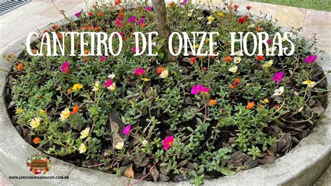 Onze Horas Fa A Um Canteiro Maravilhoso De Flores Youtube