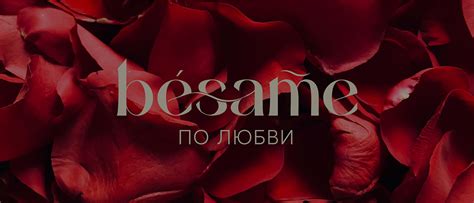 Логотип нижнее белье Logotype lingerie on Behance
