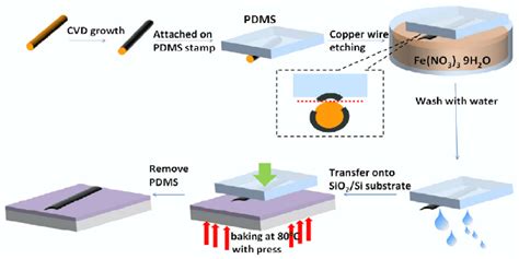 Schematic Illustration For The Preparation Of Cvd Graphene Strips