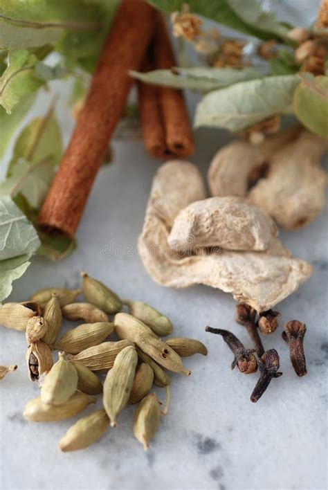 Organic Herbals stock image. Image of healthy, organic - 12825181