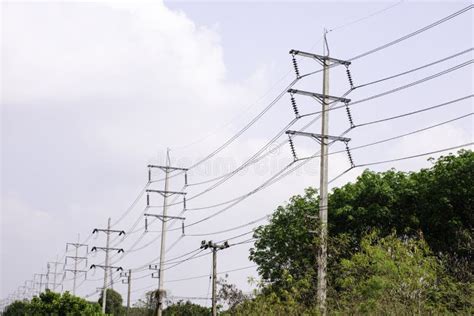 Transmission Line of Electricity To Rural with Green Tree Stock Image ...