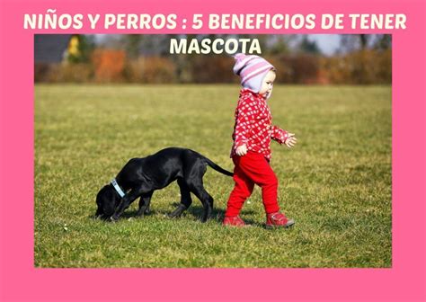 Niños Y Perros 5 Beneficios De Tener Mascota Aprendiendo Con Julia