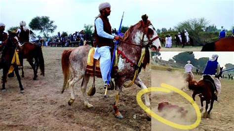 Mela Nowruz Darbar Baba Noor Faqir Khar Chowk Layyah Neza Bazi