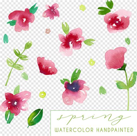 Watercolor Spring Flowers Collection Png PNGWing