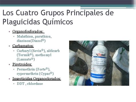 Plaguicidas Salud Humana Y El Medio Ambiente Qu