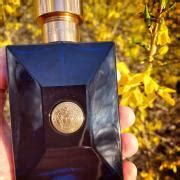 Versace Pour Homme Dylan Blue Versace одеколон — аромат для мужчин 2016
