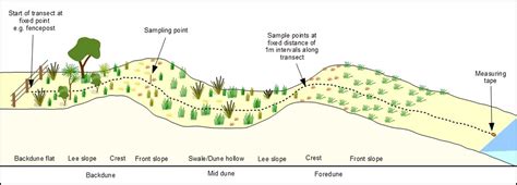 Locating Or Establishing Transects Coastal Monitoring Database