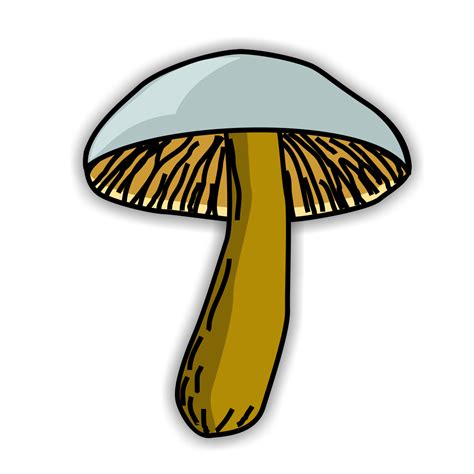 Fungi Cartoon - Clipart Fungus Clip Fungal Mushroom Morchella | Liferisife