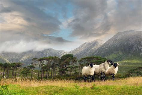 Irlanda El Gran Tour De La Isla Esmeralda Huwans