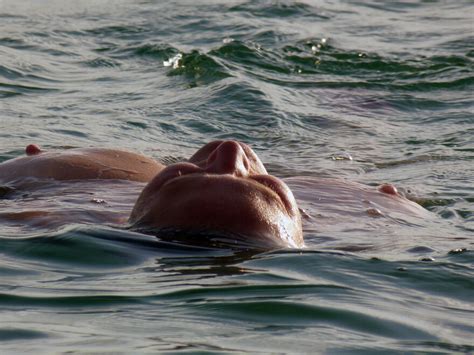 Corbiena Zeigt Sich Nackt Am Baggersee P Korr Kopie Porn Pic