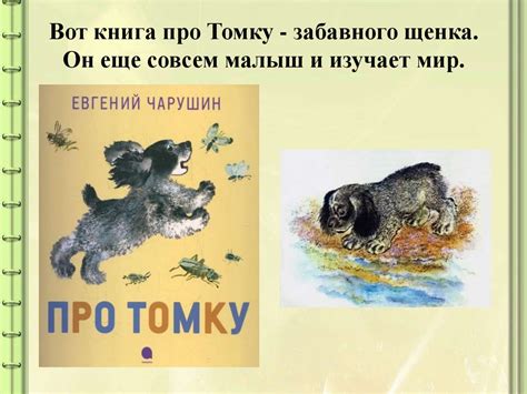 Волшебный мир зверей и птиц Евгения Чарушина - презентация онлайн