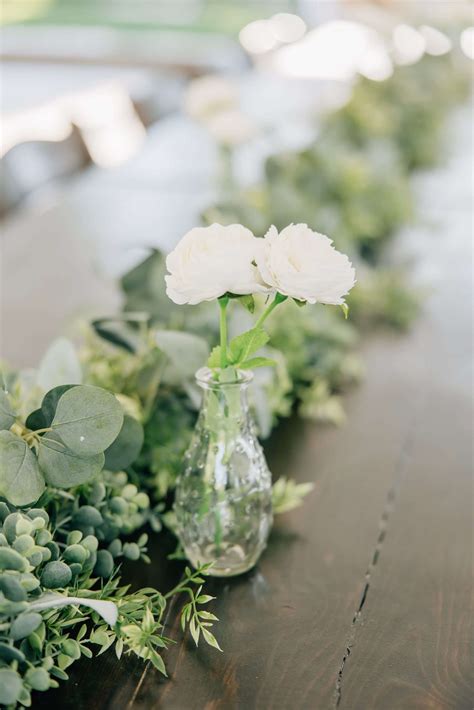 Gallery - Hidden Orchards