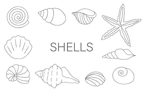 Vector Black And White Set Of Sea Shells Isolated On White Background Stock Illustration ...