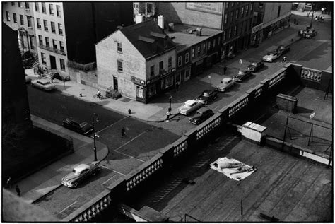 Elliott Erwitt - Rome, 2008 For Sale at 1stDibs