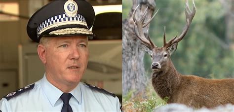 Police Fine Two Nude Sydney Sunbathers For Breaching COVID Restrictions Star Observer