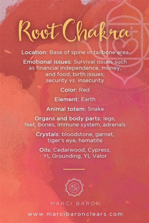 Root Chakra Attributes Pinned By The Mystics Emporium On Etsy Root Chakra Healing Chakra