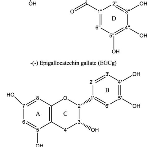 A Molecular Structure Of Epigallocatechin Gallate Egcg