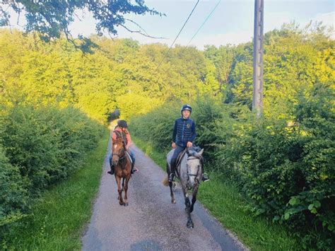 Ferme Equestre et Chambres d hotes Gateau Stables Nièvre Tourisme