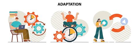 Conjunto de conceptos de adaptación Transformación en diferentes