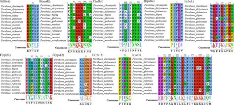 Frontiers Comparative Chloroplast Genome Analyses Of Paraboea