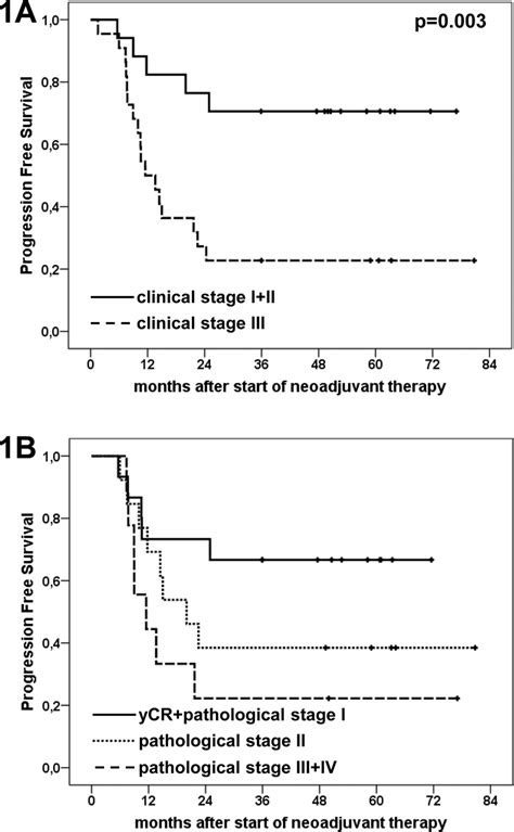 Kaplan Meier Plots Illustrating Progression Free Survival According To