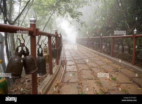 Doi Tung Temple Chiang Rai Thailand Stock Photo - Alamy