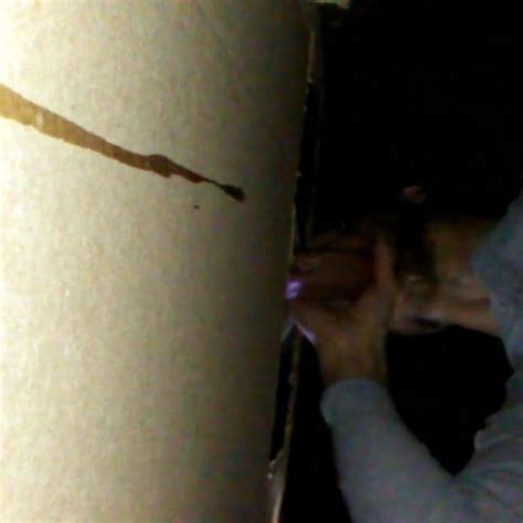 Sucking Rimming Fucking A Dude Off Doublelist Gay Xhamster