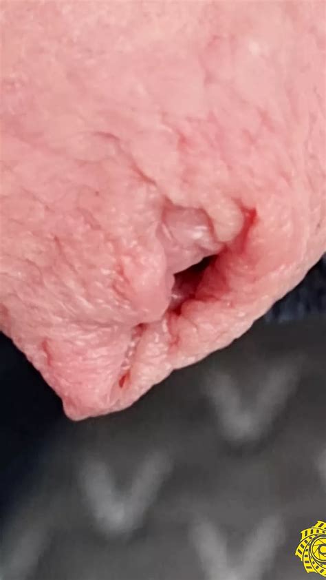 Yahimbehar Close Up Cock Gay Amateur Porn Feat Yahim Behar Xhamster