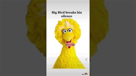 Big Bird Breaks His Silence About What Occured At Sesame Place Youtube