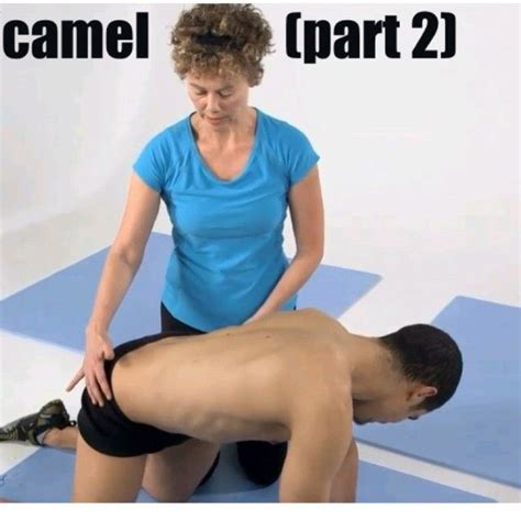 Cat Camel 2 By Sammy K Exercise How To Skimble