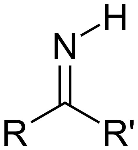 Difference Between Amino Acid And Imino Acid Compare The Difference