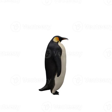 3d penguin isolated 18876000 PNG