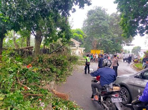 Bogor Dilanda Angin Kencang Pohon Bertumbangan Dan Rumah Rusak