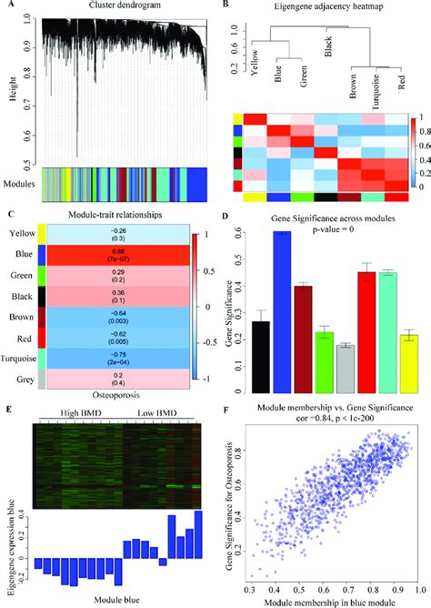 Identification Of Significant Gene Modules Correlated With