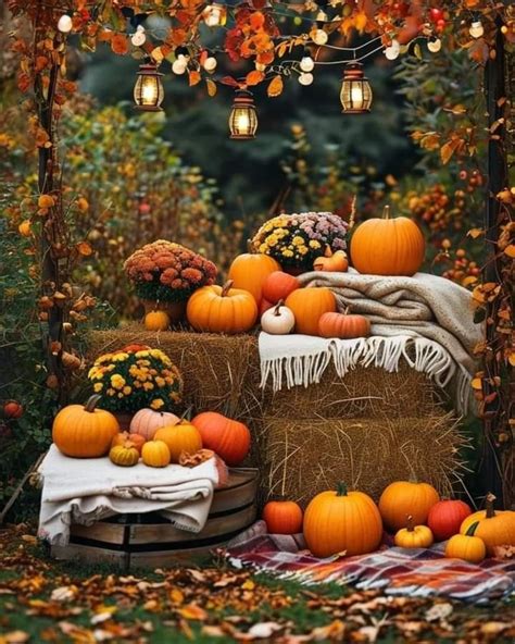 Pin by Ibolya on Ősz in 2024 Harvest festival decorations Seasonal