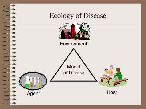 Ppt Epidemiology Overview And Concepts Powerpoint Presentation Free Download Id 264695