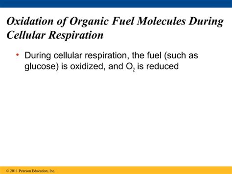 Ch 9 Cell Respiration And Fermentation Ppt