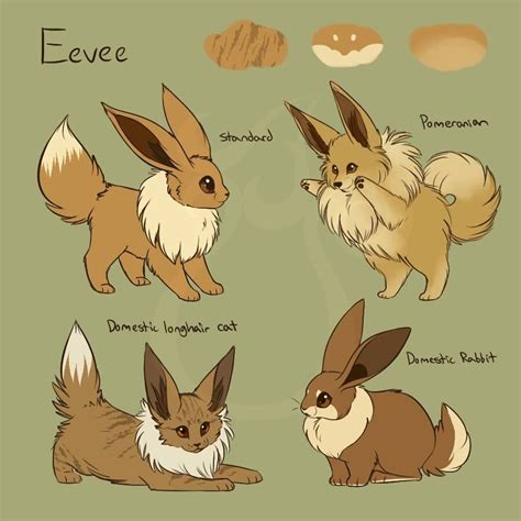 Pokemon Eevee In Real Life