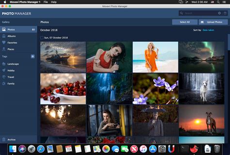 Movavi photo focus review - tabpikol