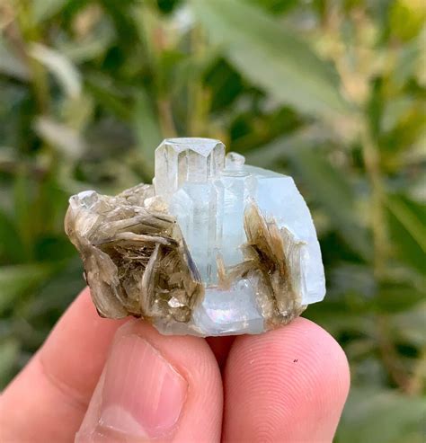 Aquamarine Crystals Bunch With Mica Combine Cute Specimen Etsy