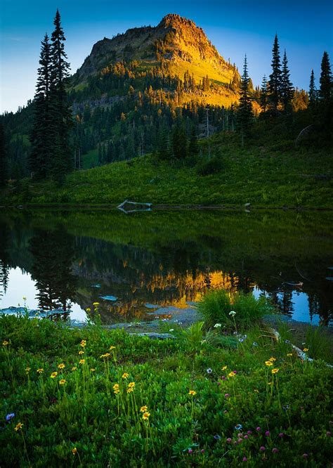 17 Best images about Sunrise at Mt. Rainier on Pinterest