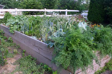 How To Start A Backyard Vegetable Garden - The Backyard Gallery