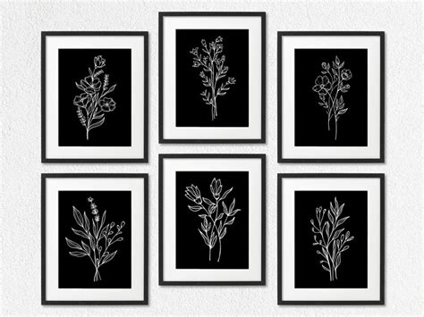 Black & White Botanical Set of 6 Illustration Prints Black - Etsy