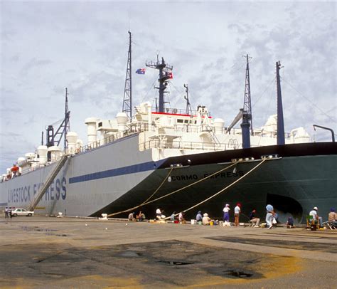 Types of Ships - Mairadyaa Shipping Management